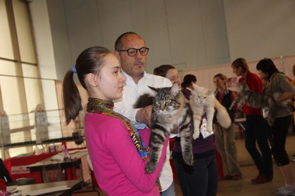 Moscovitas visitan Salón Internacional “Comunidad Felina 2012” - Sputnik Mundo