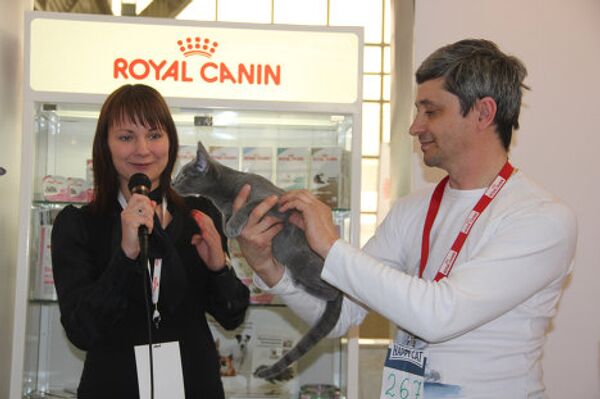 Moscovitas visitan Salón Internacional “Comunidad Felina 2012” - Sputnik Mundo