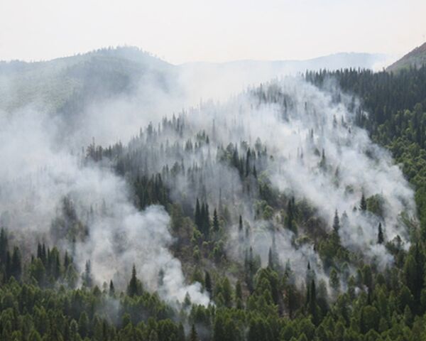 Al menos 13.000 hectáreas de bosque arden en incendios en Siberia - Sputnik Mundo