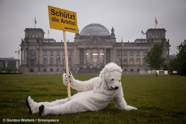 Greenpeace organiza acción en defensa del Ártico y los osos polares - Sputnik Mundo