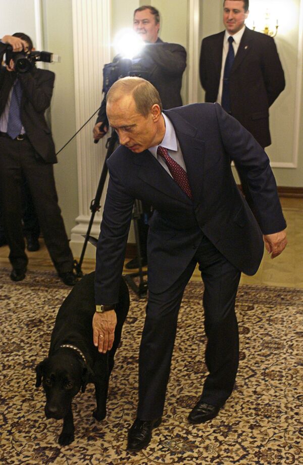 Animales regalados a Vladímir Putin - Sputnik Mundo