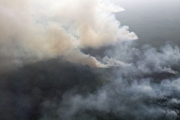 Incendios forestales en Siberia extinguen 70 aviones y helicópteros - Sputnik Mundo