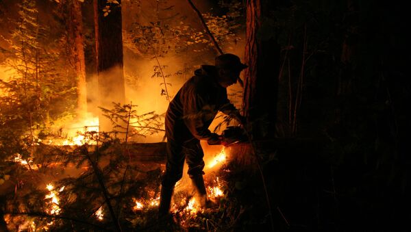 Casi 300 mil personas luchan contra incendios forestales en Rusia - Sputnik Mundo