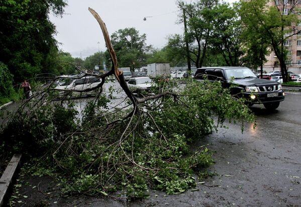 Consecuencias del tifón Bolaven en el Lejano Oriente ruso - Sputnik Mundo