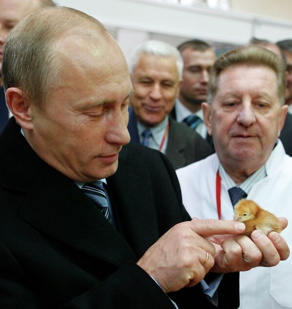 Vladímir Putin en el mundo animal - Sputnik Mundo