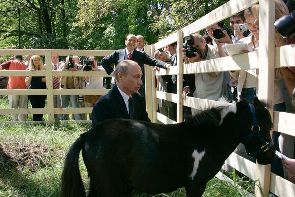 Vladímir Putin en el mundo animal - Sputnik Mundo
