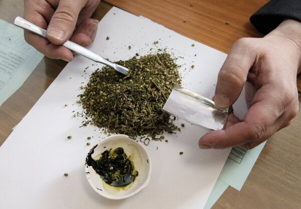 La marihuana medicina se pondrá este año en venta en República Checa - Sputnik Mundo