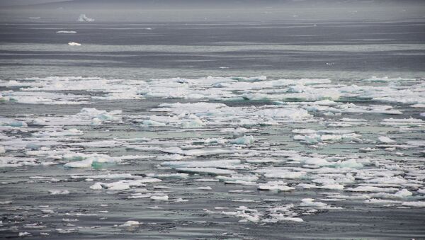 China solicita licencia sobre un yacimiento en el Ártico - Sputnik Mundo