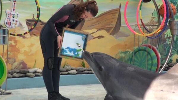Delfines dibujan y bailan vals durante un espectáculo en balneario ruso de Sochi - Sputnik Mundo