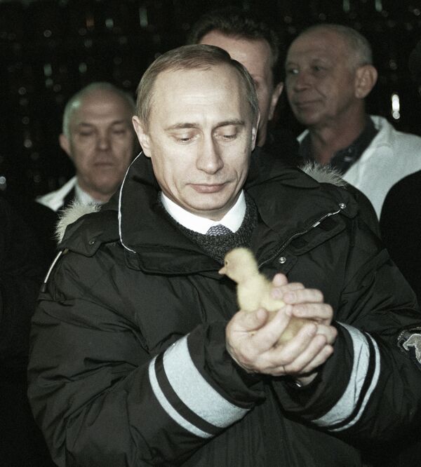 Veinte momentos de la vida de Vladímir Putin - Sputnik Mundo