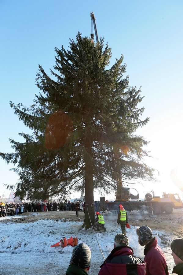 El árbol de Año Nuevo más importante de Rusia - Sputnik Mundo
