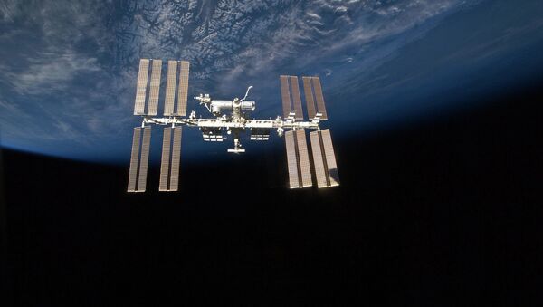 La Estación Espacial Internaciona (ISS) - Sputnik Mundo