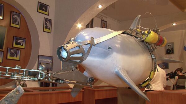 Ucrania desarrolla nuevos métodos de entrenamiento militar para delfines - Sputnik Mundo
