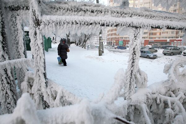 El calentamiento global aumenta la capa de nieve en Siberia - Sputnik Mundo
