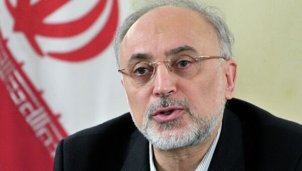 Ministro iraní de Asuntos Exteriores Ali Akbar Salehi - Sputnik Mundo