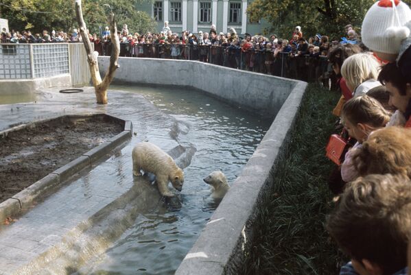 El zoológico de Moscú cumple 149 años - Sputnik Mundo
