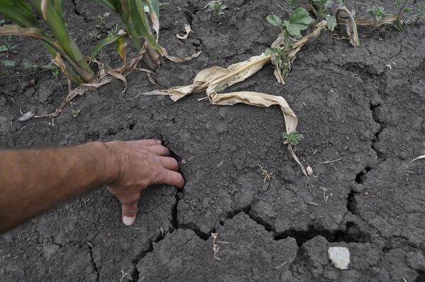 La sequía en Sao Paulo arroja pérdidas de 88 millones de dólares en el interior del estado - Sputnik Mundo
