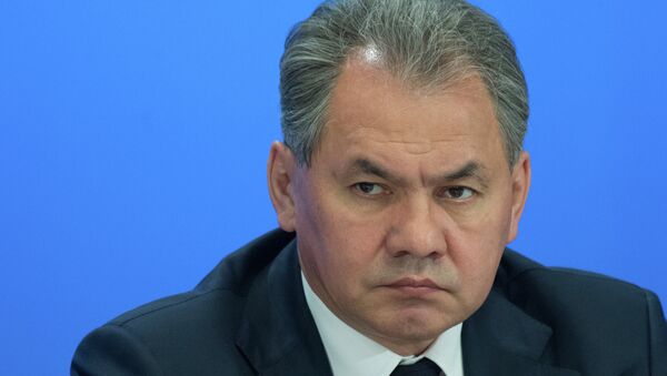 Ministro de Defensa ruso, Serguei Shoigu - Sputnik Mundo