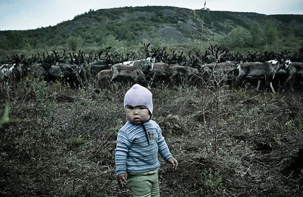 “El camino a ninguna parte”, reportaje gráfico sobre un pueblo autóctono de Siberia - Sputnik Mundo