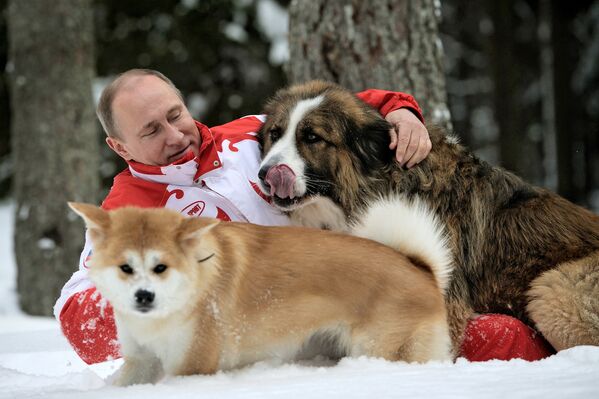 Vladímir Putin se divierte con sus mascotas sobre la nieve en la región de Moscú - Sputnik Mundo