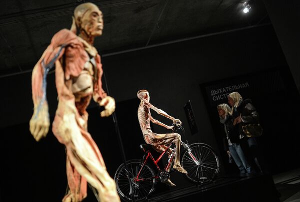 La exposición “Nuestro cuerpo. El universo dentro” llega a Moscú - Sputnik Mundo