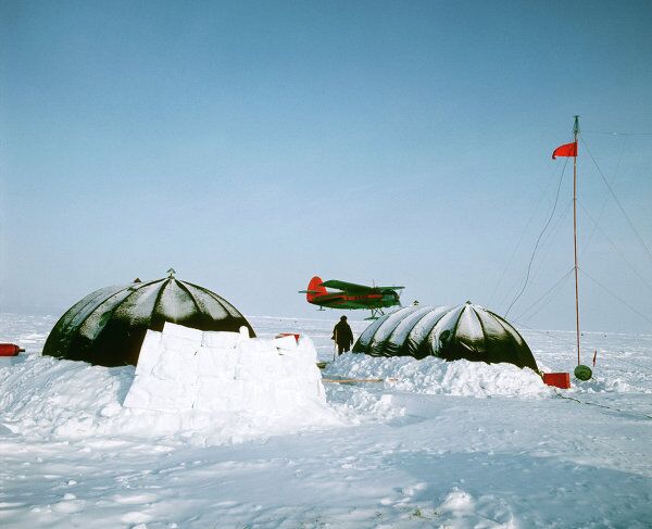 La vida en el Polo Norte, la coronilla del globo - Sputnik Mundo