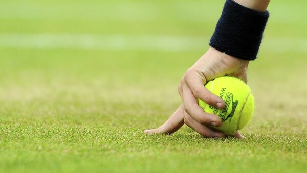 Siete tenistas rusos entre cabezas de serie en Wimbledon - Sputnik Mundo