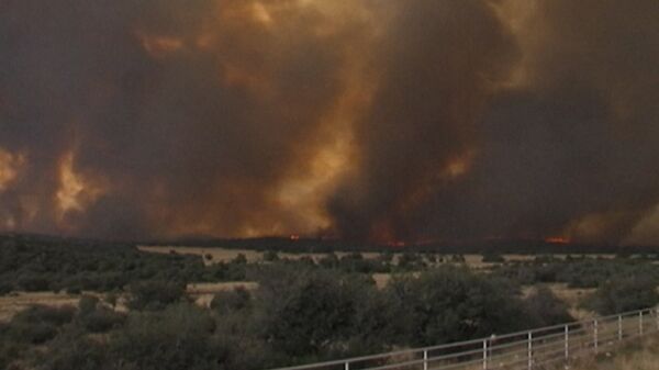 Incendio forestal arrasa en Arizona - Sputnik Mundo