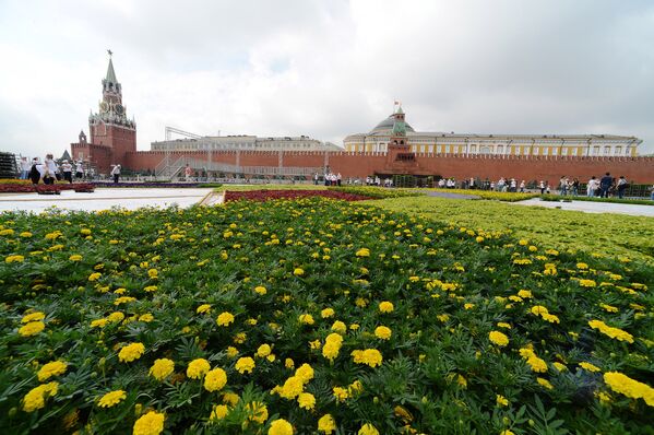 Una alfombra floral en la Plaza Roja con motivo del aniversario de GUM - Sputnik Mundo