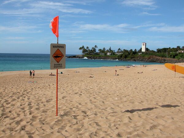 Turista alemana pierde un brazo en ataque de tiburón en Hawai - Sputnik Mundo