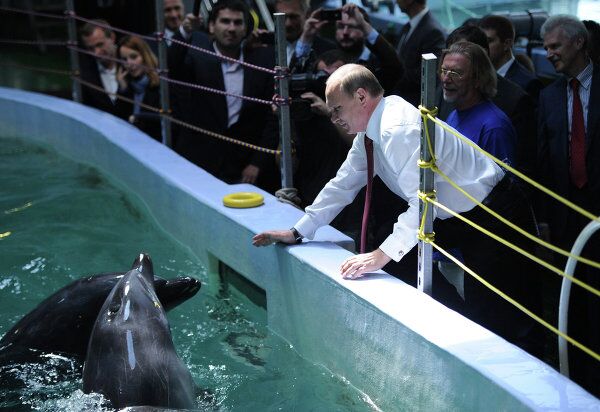 El presidente Putin visita un acuario y un centro de recuperación de tigres - Sputnik Mundo