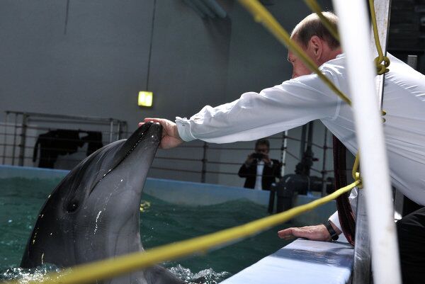 El presidente Putin visita un acuario y un centro de recuperación de tigres - Sputnik Mundo