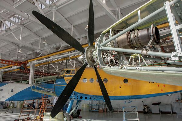 An-2 - Sputnik Mundo
