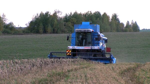Ucrania recolecta cosecha récord de 60 millones de toneladas de cereales en 2013 - Sputnik Mundo