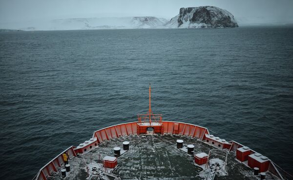 Ecologistas proponen crear un coto de pesca en el Ártico - Sputnik Mundo