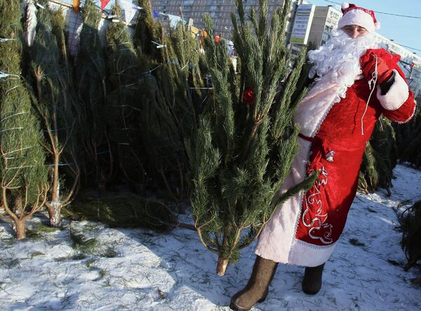 Un antivandalismo que apesta salva los árboles de Navidad - Sputnik Mundo