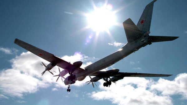 El Mando de la Flota envió a la zona aviones de guerra antisubmarina Tu-142 (photo) e IL-38 - Sputnik Mundo