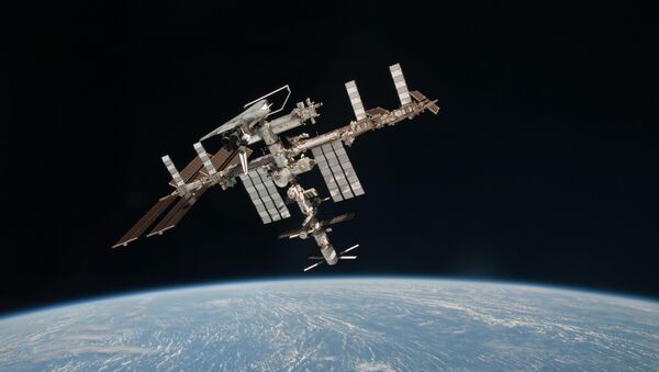 Nave Progress atraca a la ISS con peces y lombrices y un satélite de Perú - Sputnik Mundo
