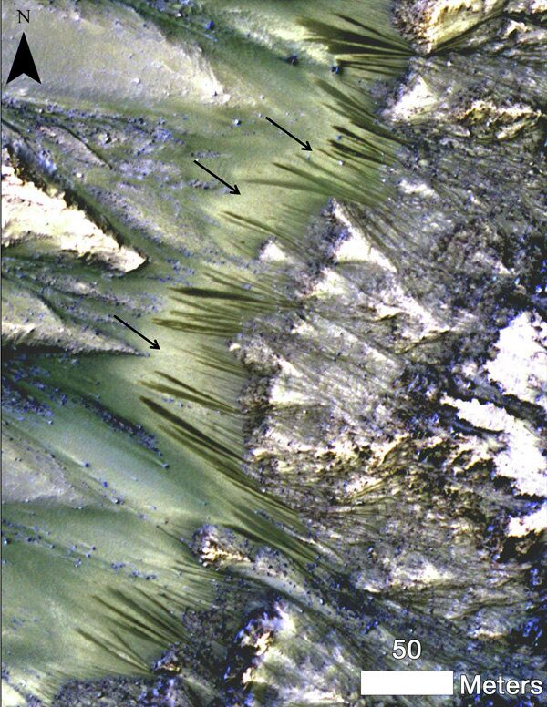 Las huellas negras estacionales en las colinas de Marte podrían ser arroyos de agua salada - Sputnik Mundo