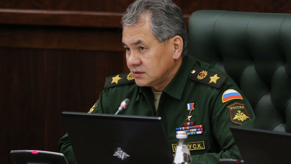 Serguéi Shoigú, ministero de Defensa de Rusia - Sputnik Mundo