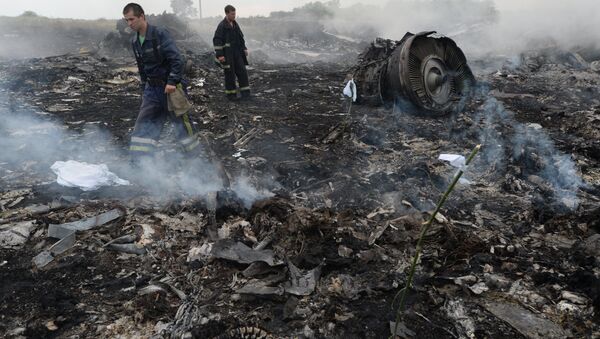 El lugar del siniestro del vuelo MH17 de Malaysia Airlines en Ucrania (archivo) - Sputnik Mundo