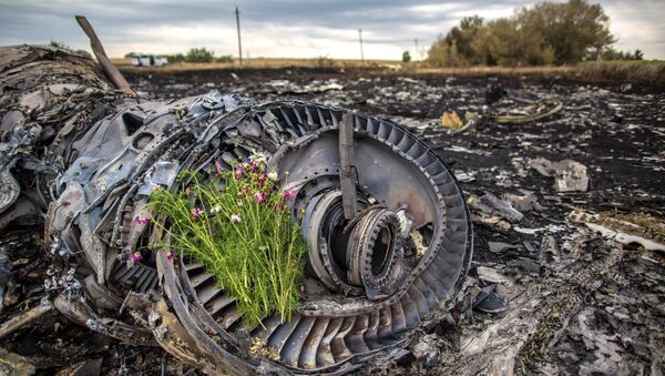 Lugar de la catástrofe del vuelo de MH17 en Ucrania (Archivo) - Sputnik Mundo