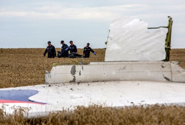 Los restos del avión malasio derribado en el este de Ucrania - Sputnik Mundo
