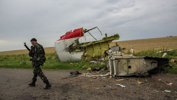 Rusia acusa a Kiev de obstruir la investigación de la catástrofe del MH17 - Sputnik Mundo
