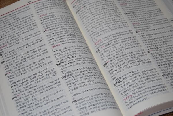 Seúl y Pyongyang crearán diccionario completo de la lengua coreana - Sputnik Mundo