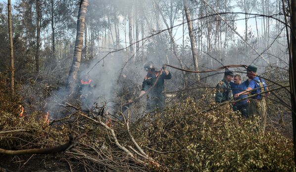 Incendios forestales en la región de Tver - Sputnik Mundo