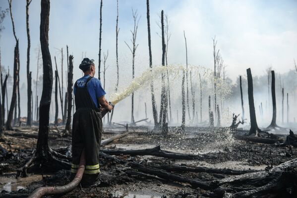 Incendios forestales en la región de Tver - Sputnik Mundo