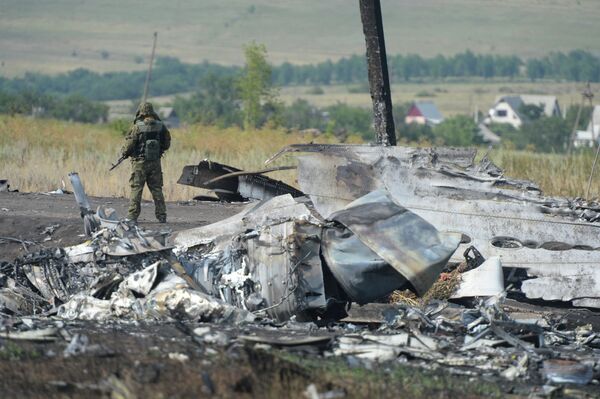 Los restos del avión malasio derribado en el este de Ucrania - Sputnik Mundo