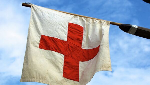 La Cruz Roja de Rusia, dispuesta a enviar voluntarios al este de Ucrania - Sputnik Mundo