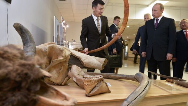 Putin habla con científicos sobre el clonaje de mamuts - Sputnik Mundo